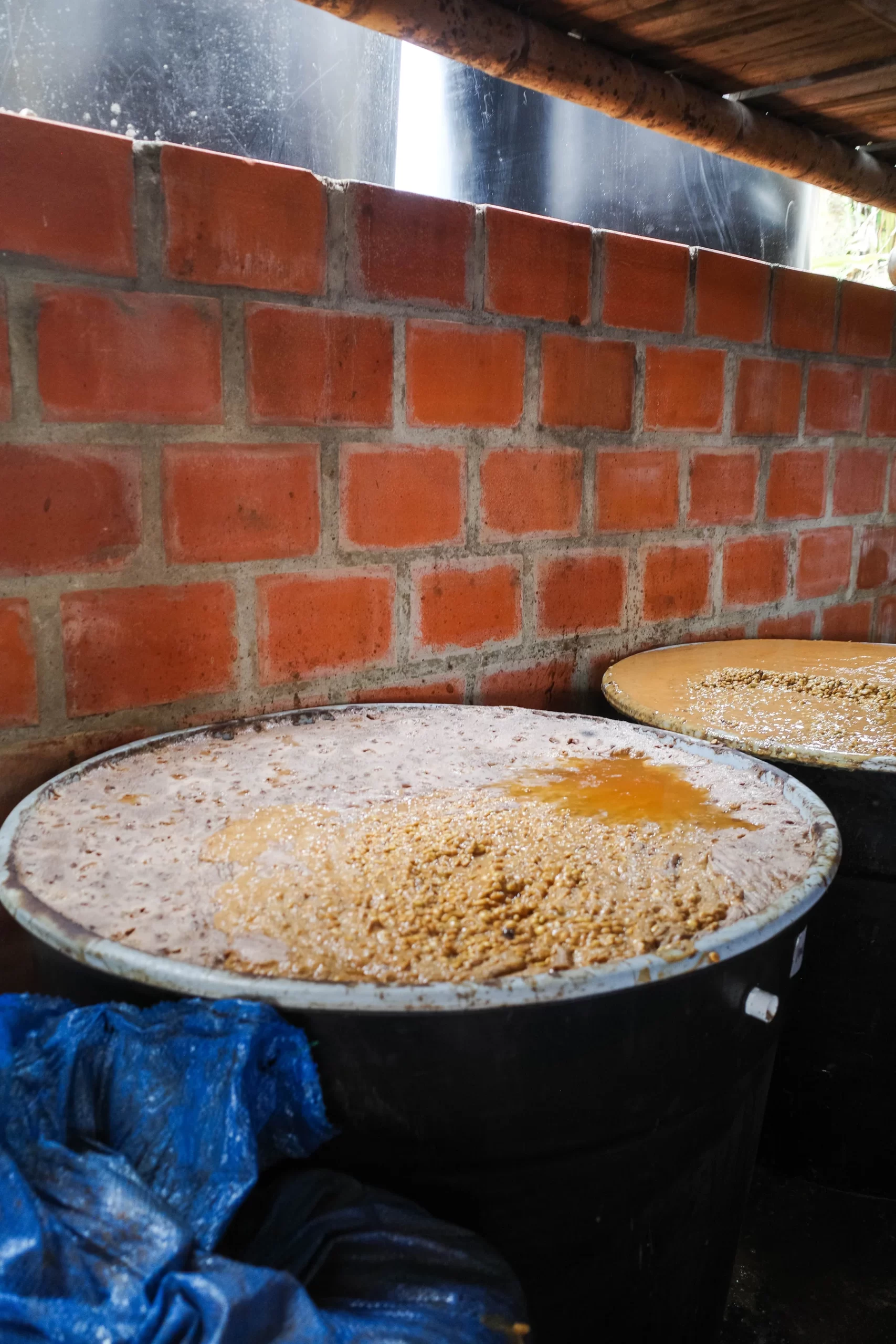 COLOMBIA / Finca La Roca Geisha Washed (100g) - 画像 (2)